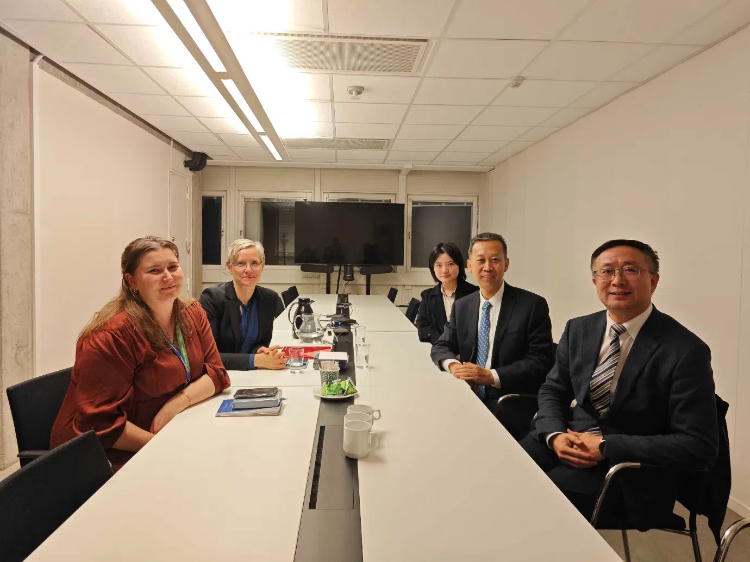 中國駐瑞典大使崔愛民會(huì)見瑞典聯(lián)合國教科文組織全國委員會(huì)秘書長。中國駐瑞典大使館供圖