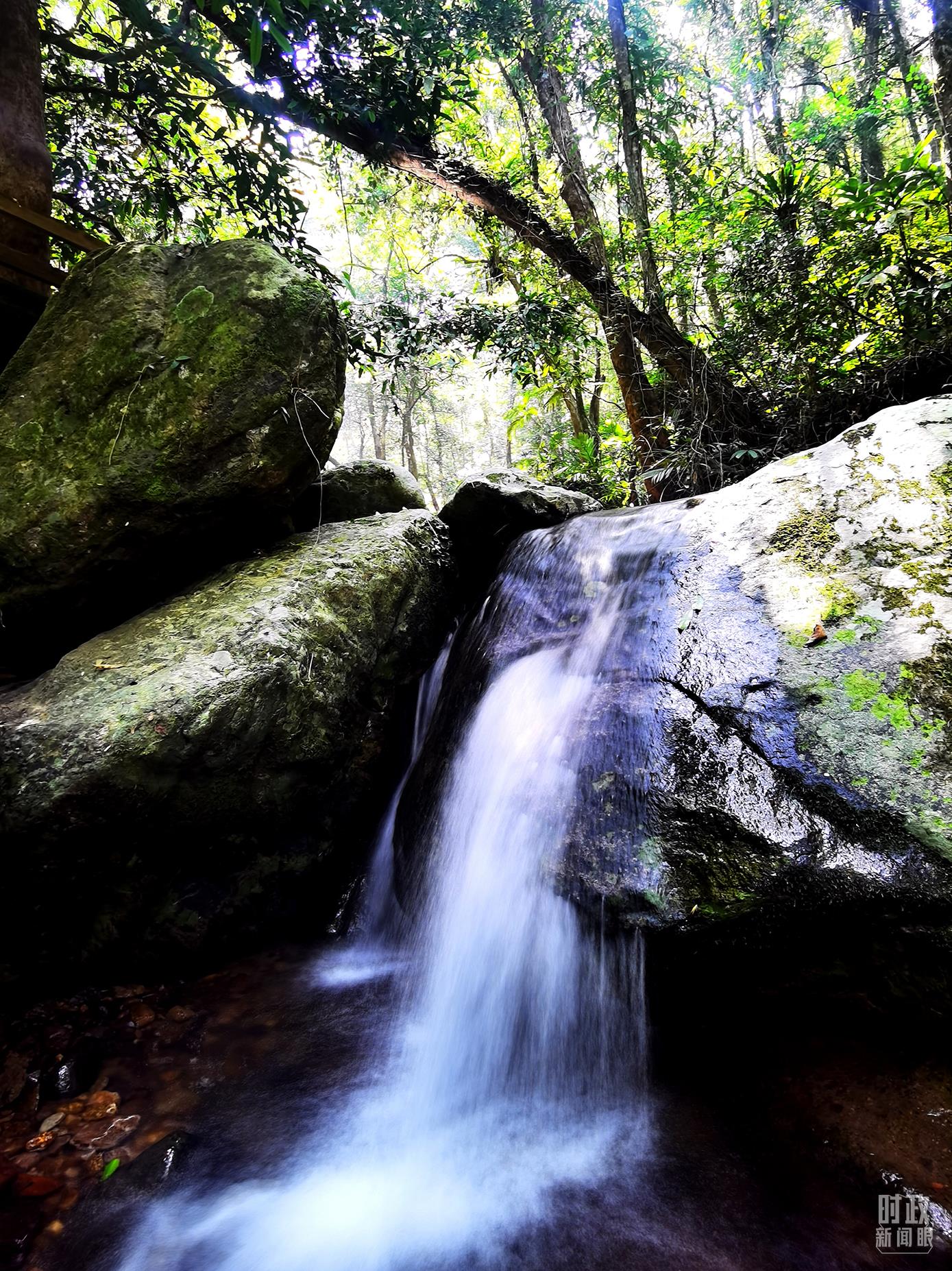 海南五指山。（總臺(tái)央視記者劉琦拍攝）