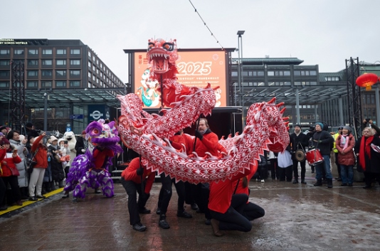 舞龍、舞獅表演。中國(guó)駐芬蘭大使館供圖