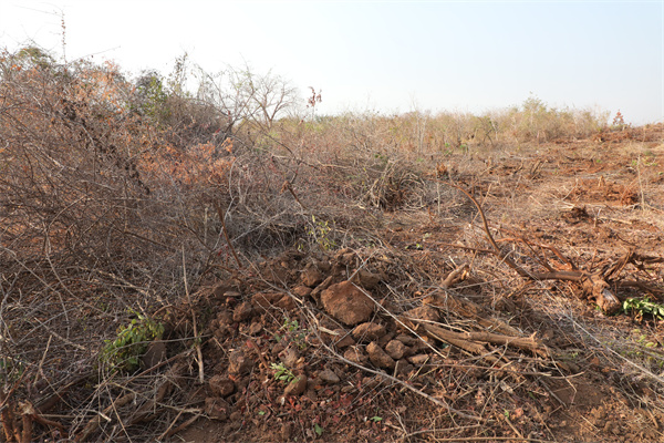 施工現(xiàn)場。張曉昆攝