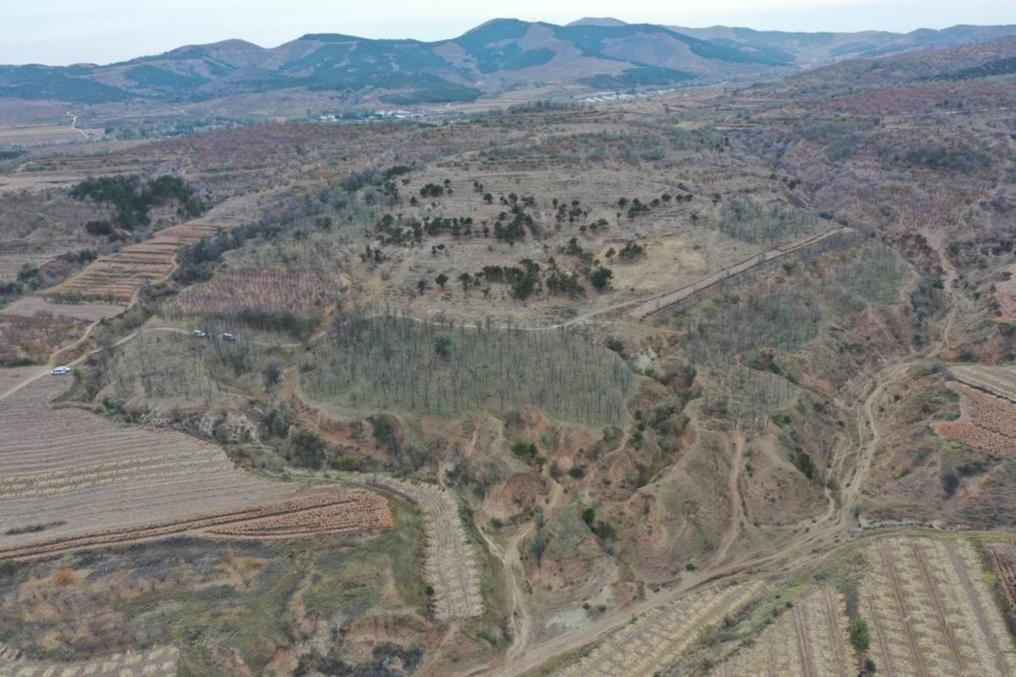 朝陽凌源無白丁遺址群（2024年11月23日攝）。新華社發(fā)（遼寧省文物考古研究院供圖）