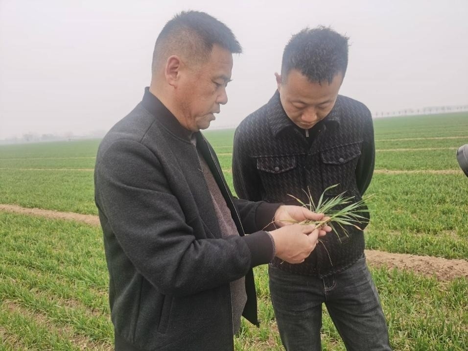 在山東濟(jì)寧汶上縣苑莊鎮(zhèn)，農(nóng)技員黃海龍對種糧大戶王振現(xiàn)場進(jìn)行春耕指導(dǎo)。人民網(wǎng)記者 車柯蒙攝
