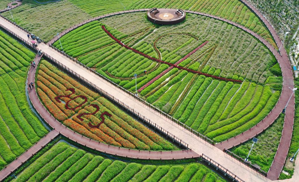 這是3月21日拍攝的瓊海博鰲南強村景色（無人機照片）。新華社記者 郭程 攝