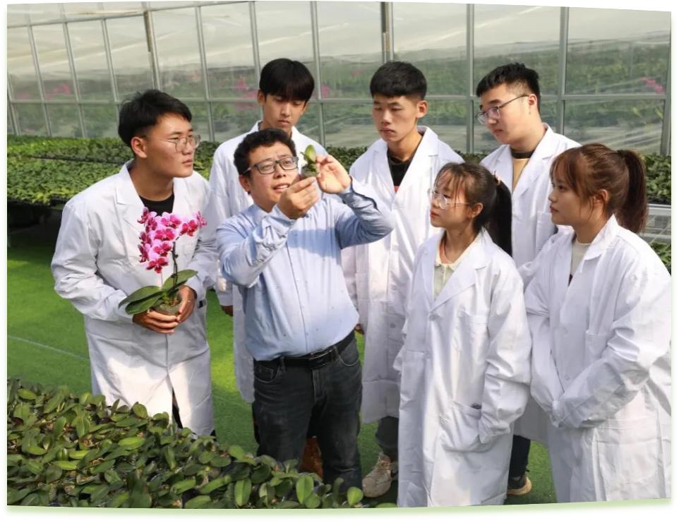濰坊工程職業(yè)學(xué)院科技創(chuàng)新團(tuán)隊為花卉行業(yè)從業(yè)者作蝴蝶蘭雜交選育技術(shù)指導(dǎo)。學(xué)校供圖