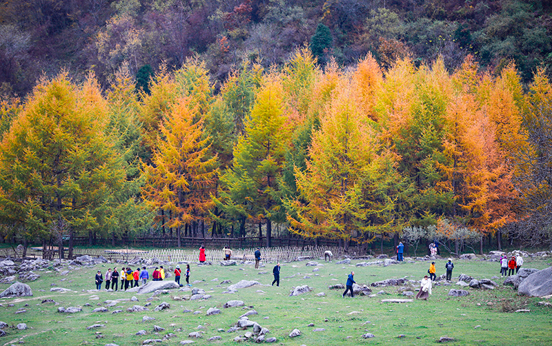 2023年10月27日，深秋時(shí)節(jié)的陜西秦嶺太子嶺五彩斑斕，進(jìn)入最佳觀賞期。