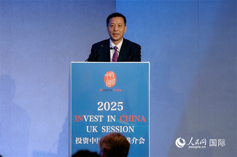 中國駐英國大使館經(jīng)濟商務公使余本林發(fā)表致辭。楊浩鵬攝