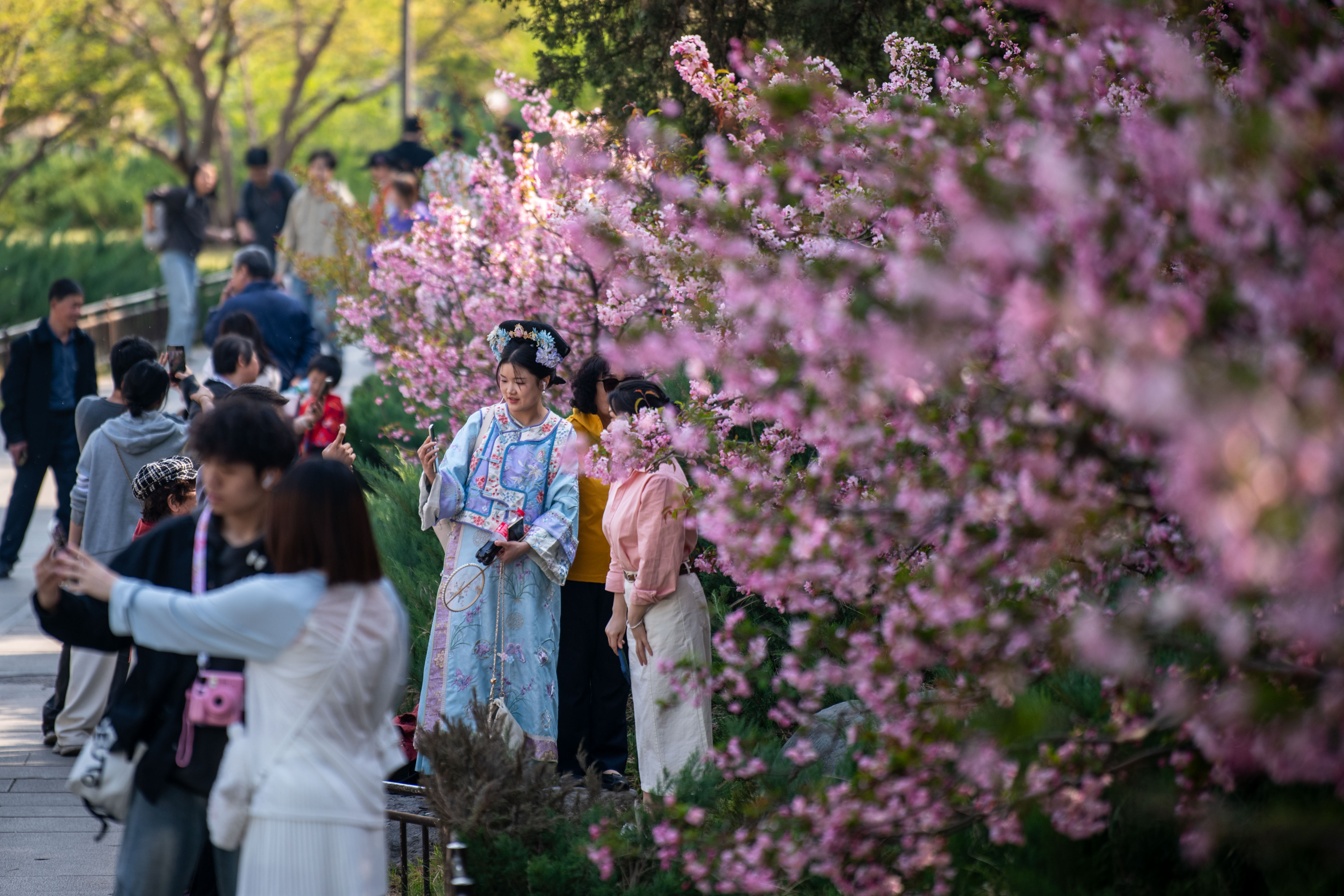 2025年4月6日，北京北海公園，滿園春色醉游人。人民網(wǎng)記者 翁奇羽攝