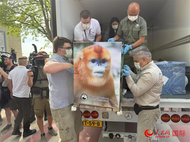 圖為活動(dòng)現(xiàn)場(chǎng)。人民網(wǎng)記者 牛瑞飛攝