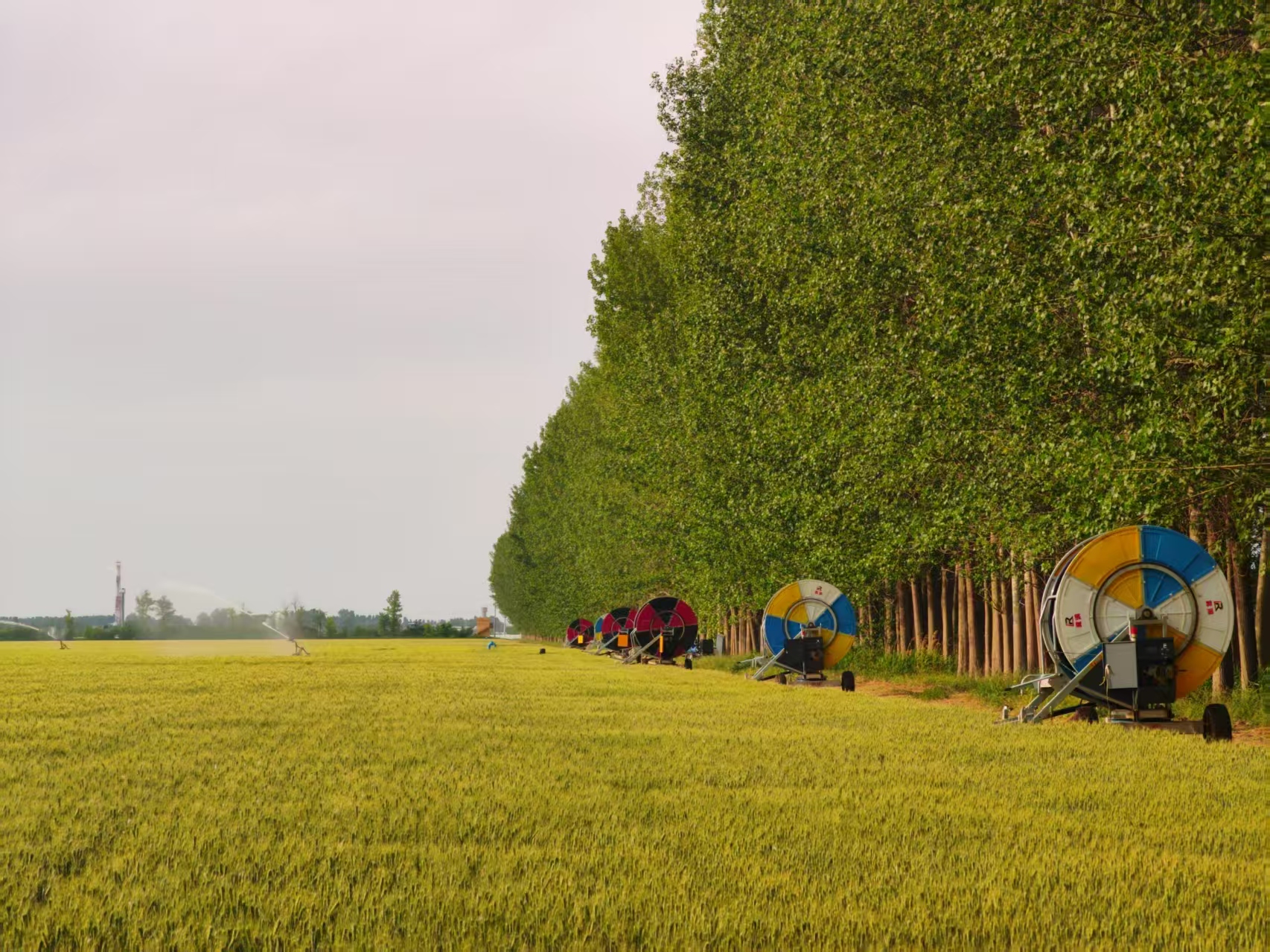 陜西華陰市華西鎮(zhèn)農(nóng)墾農(nóng)場正在作業(yè)的卷盤式噴灌機(jī)。受訪者供圖