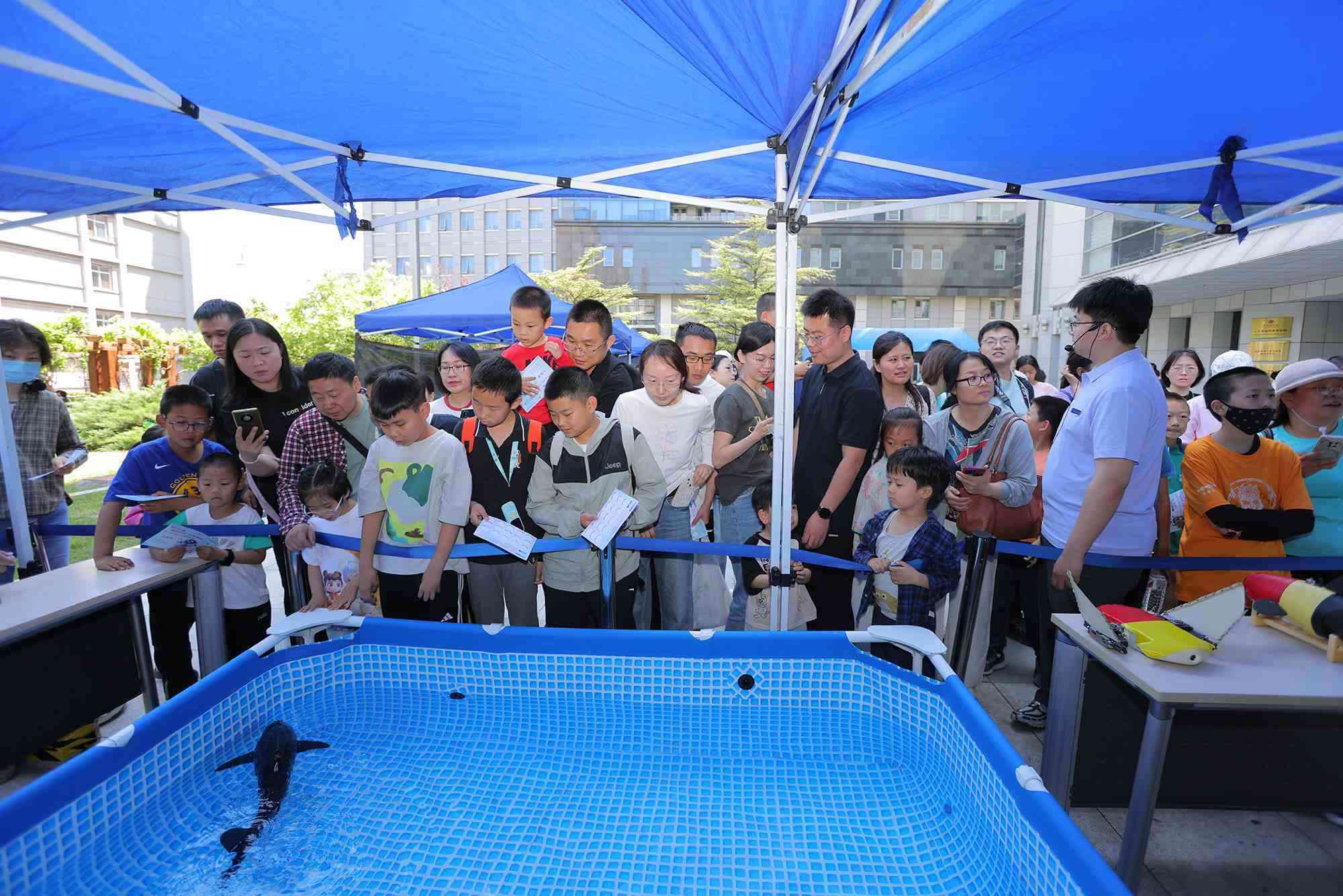 水下仿生機(jī)器魚在活動(dòng)現(xiàn)場(chǎng)大受歡迎。中國(guó)科學(xué)院自動(dòng)化研究所供圖